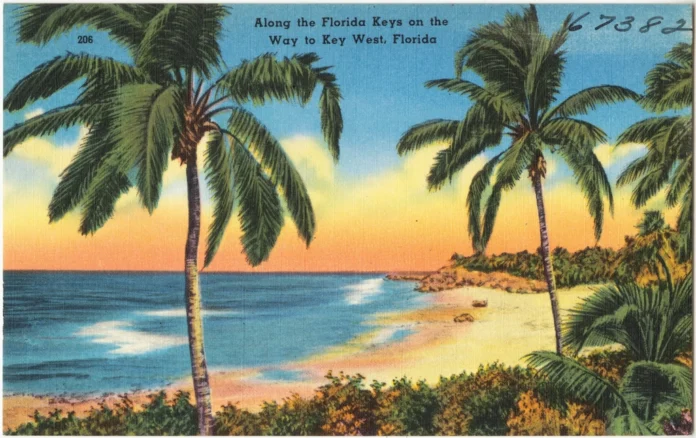 Big Pine Key Along Florida Keys way Key, Big Pine Key