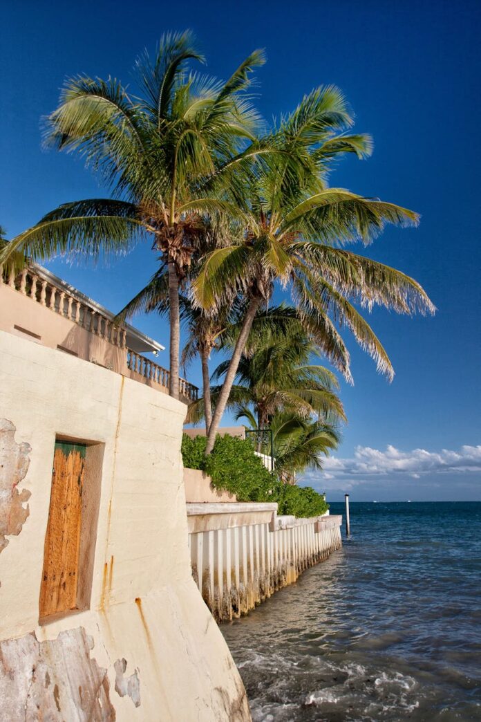 Little Torch Key palm trees on white concrete building near sea, Little Torch Key