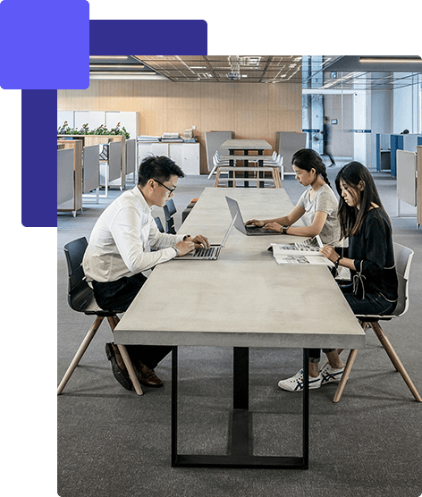 Business Digital Suite Business Digital Suite Web Package